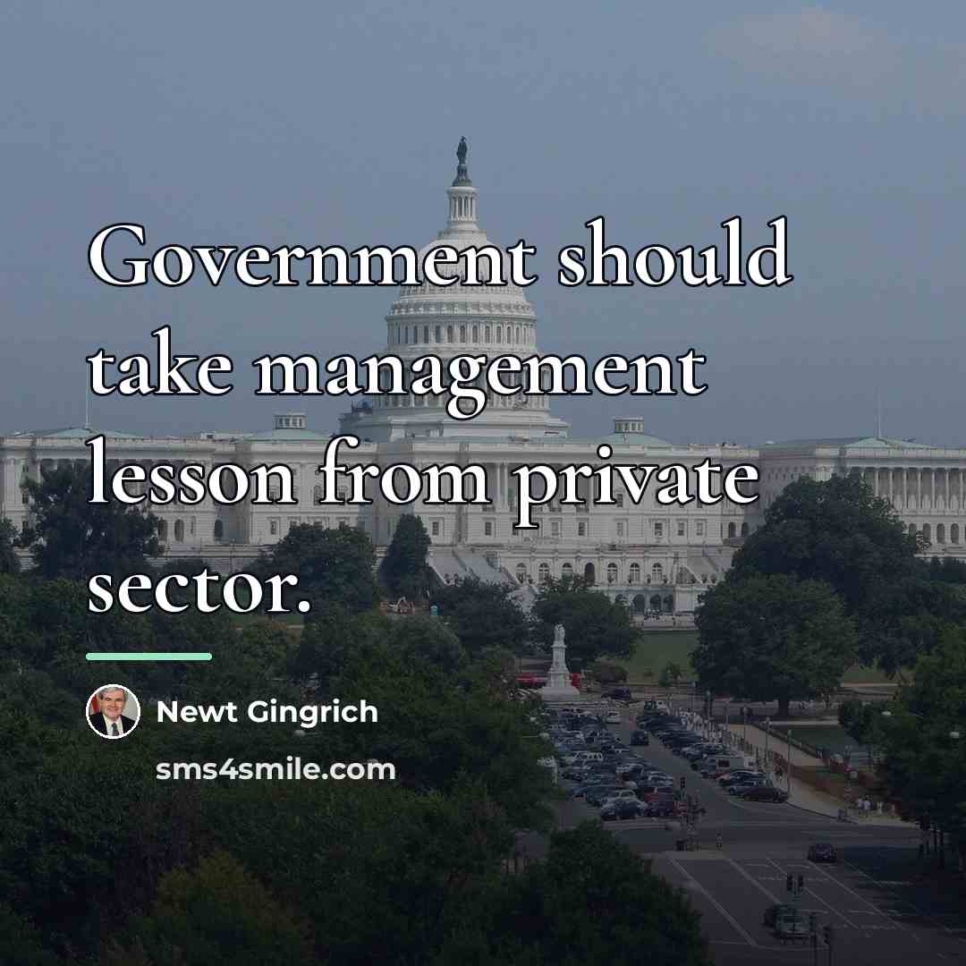 “Government should take management lesson from private sector.…” quote by Newt Gingrich