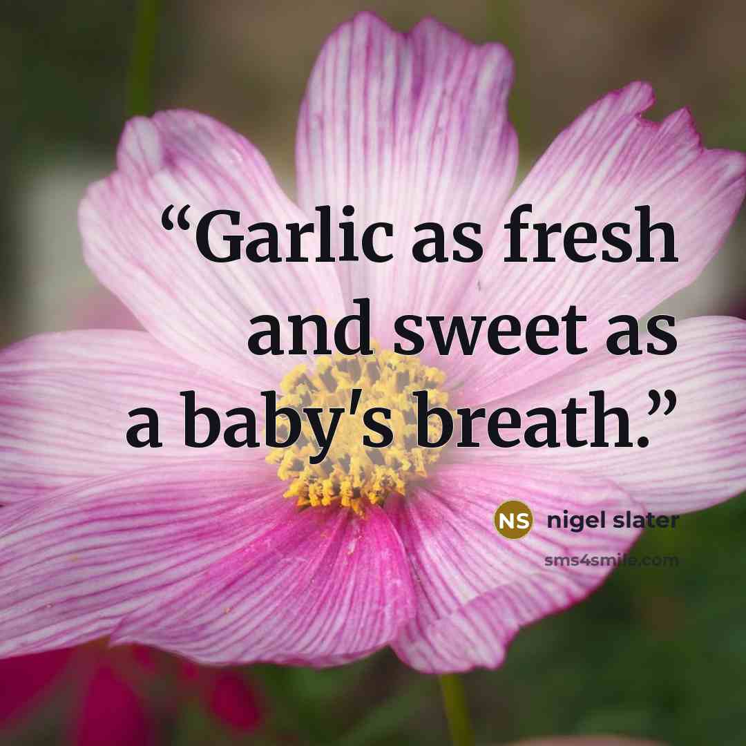 “Garlic as fresh and sweet as a baby's breath.” quote by Nigel Slater