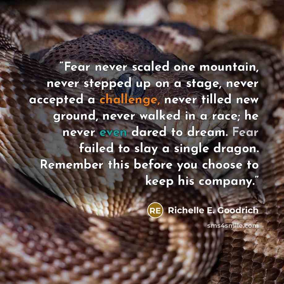 “Fear never scaled one mountain, never stepped up on a stage, never accepted a challenge, never tilled new ground, never walked in a race; he never even dared to dream. Fear failed to slay a single dragon. Remember this before you choose to keep his company.” quote by Richelle E. Goodrich