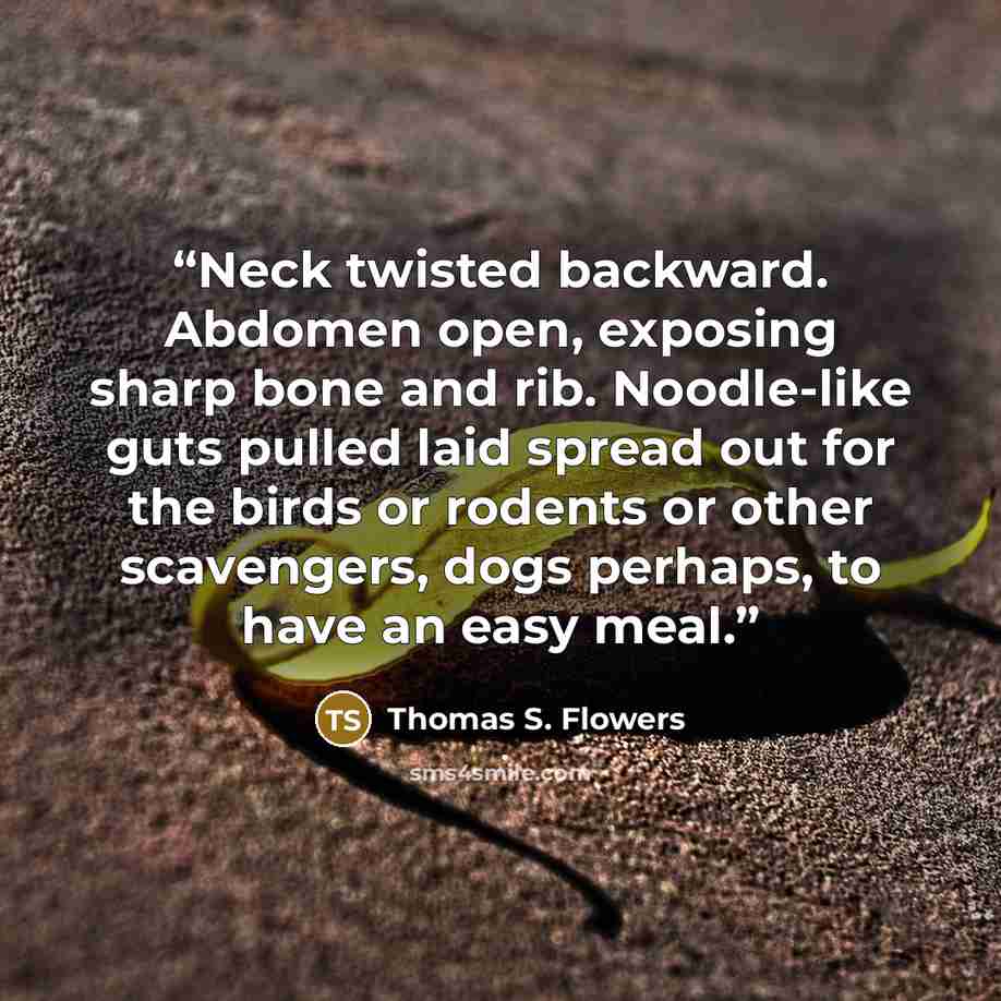 “Neck twisted backward. Abdomen open, exposing sharp bone and rib. Noodle-like guts pulled laid spread out for the birds or rodents or other scavengers, dogs perhaps, to have an easy meal.” quote by Thomas S. Flowers