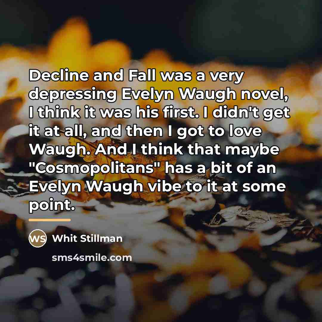 “Decline and Fall was a very depressing Evelyn Waugh novel,…” quote by Whit Stillman
