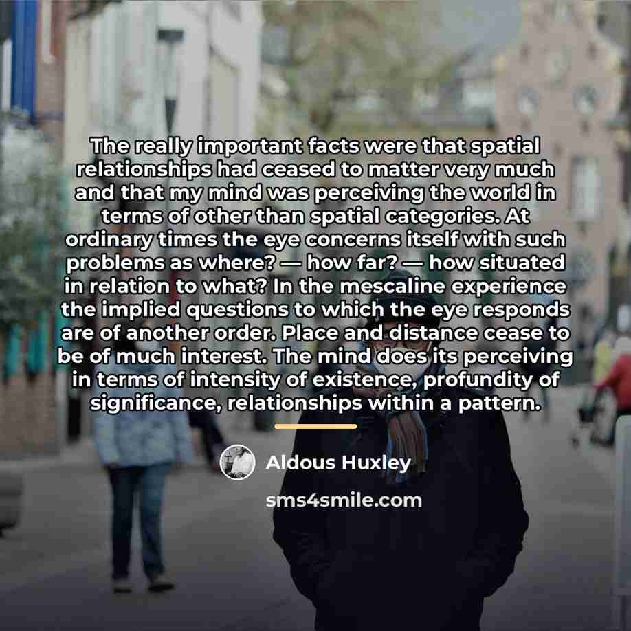 “The really important facts were that spatial relationships had ceased…” quote by Aldous Huxley
