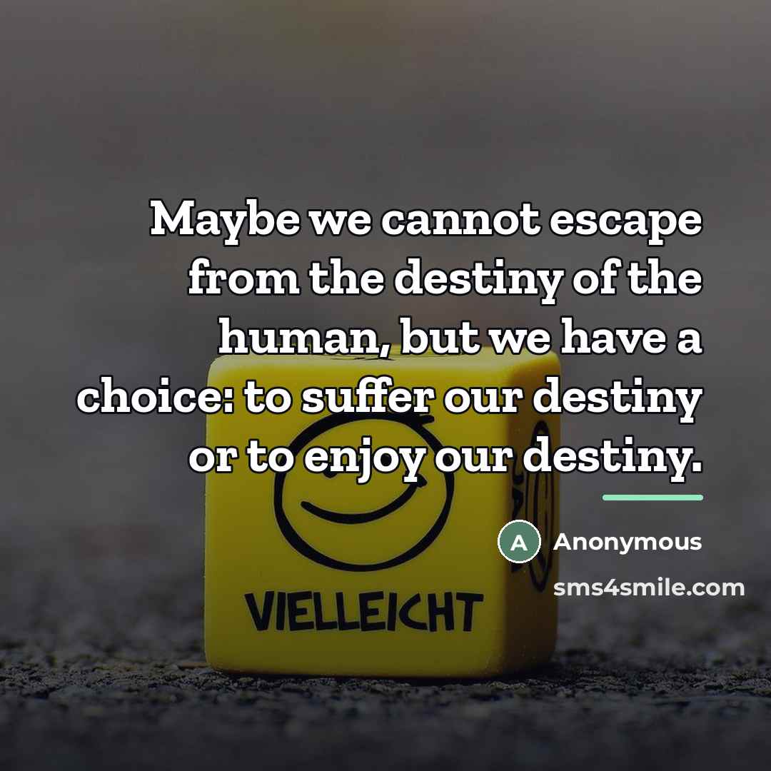 “Maybe we cannot escape from the destiny of the human,…” quote by Anonymous