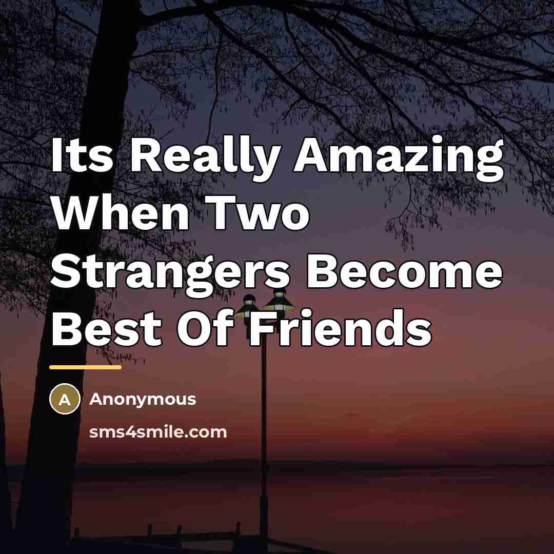 “Its Really Amazing When Two Strangers Become Best Of Friends…” quote by Anonymous