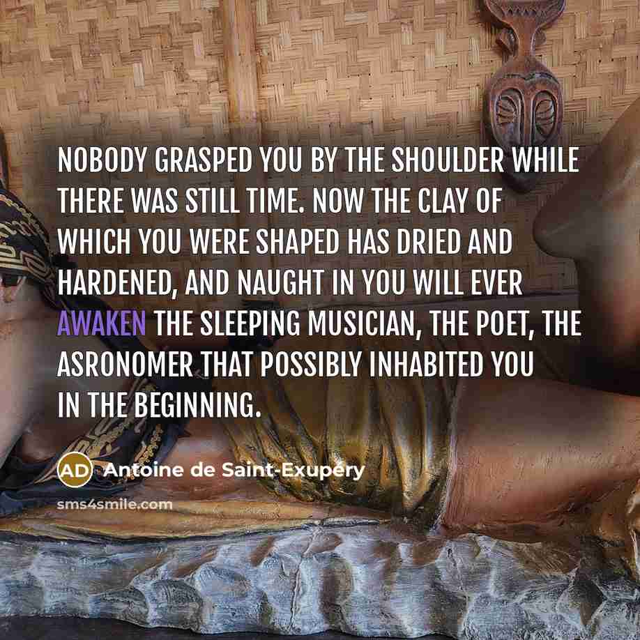 “Nobody grasped you by the shoulder while there was still…” quote by Antoine de Saint-Exupery