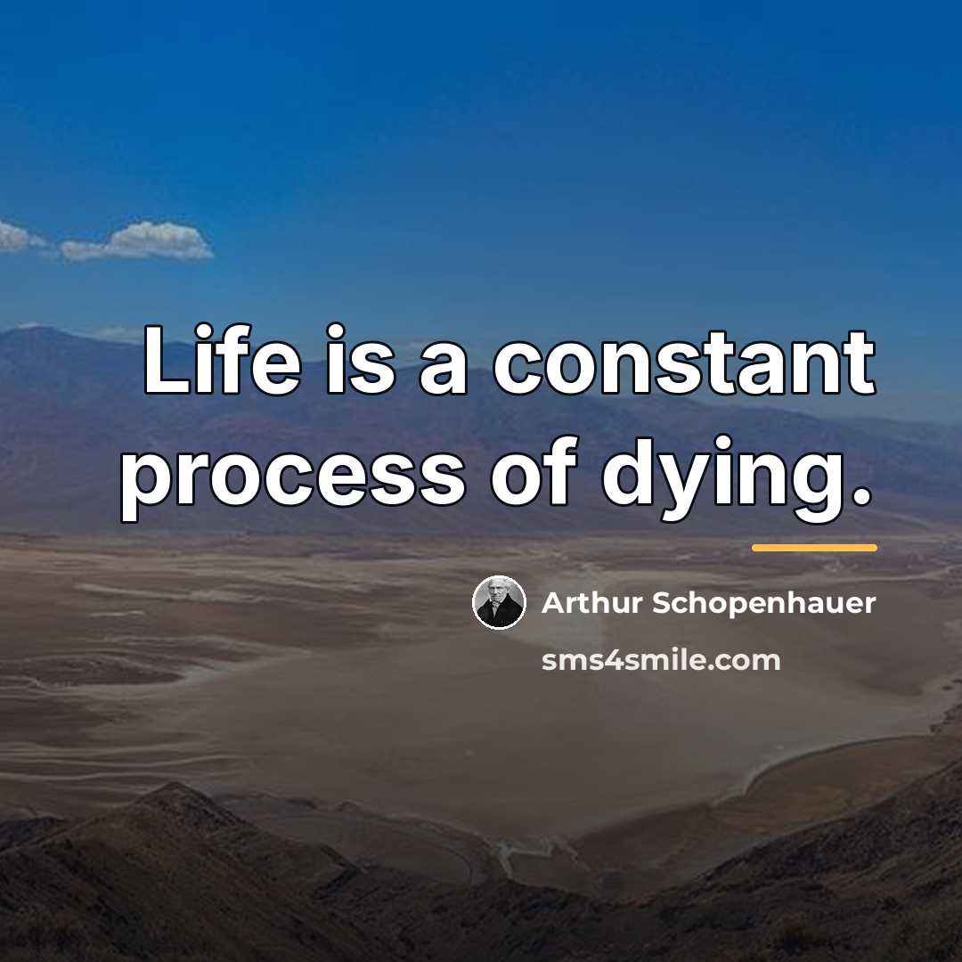 “Life is a constant process of dying.…” quote by Arthur Schopenhauer