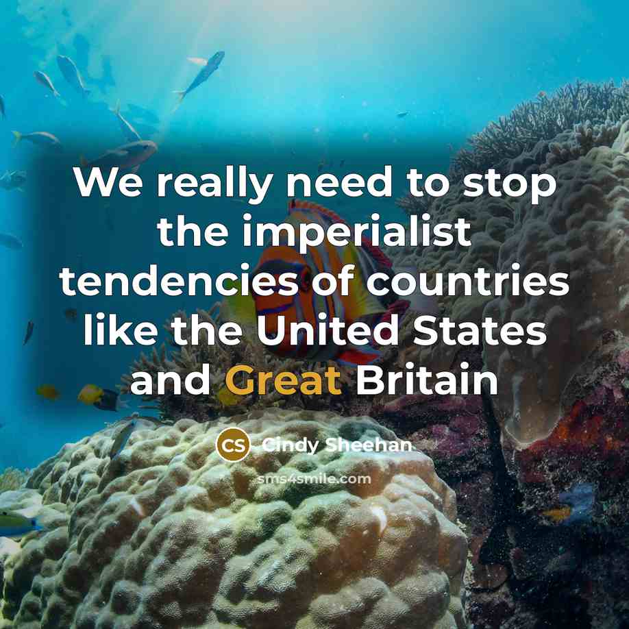 “We really need to stop the imperialist tendencies of countries…” quote by Cindy Sheehan