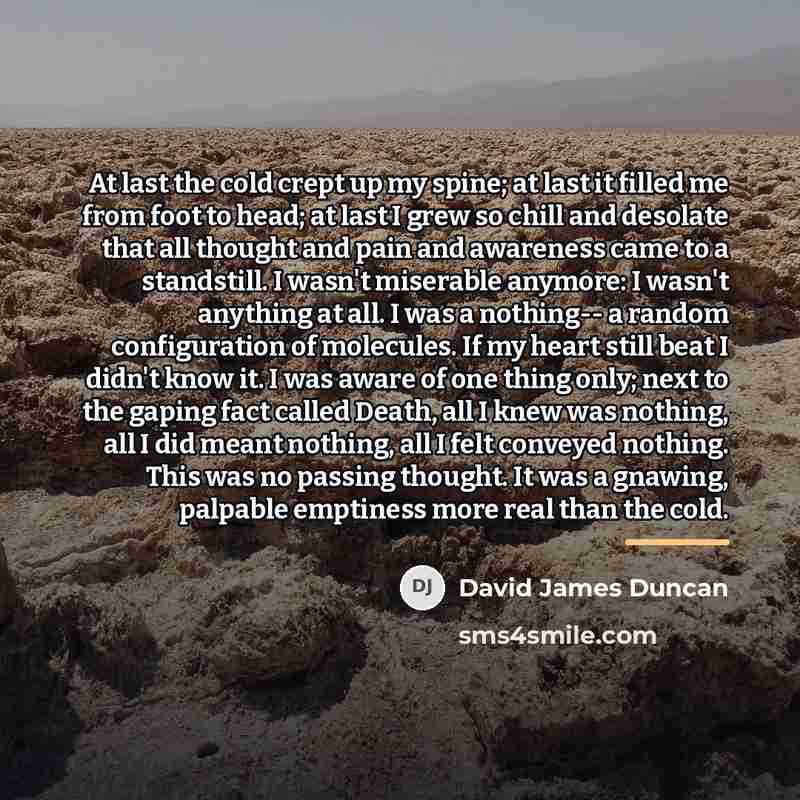 “At last the cold crept up my spine; at last…” quote by David James Duncan