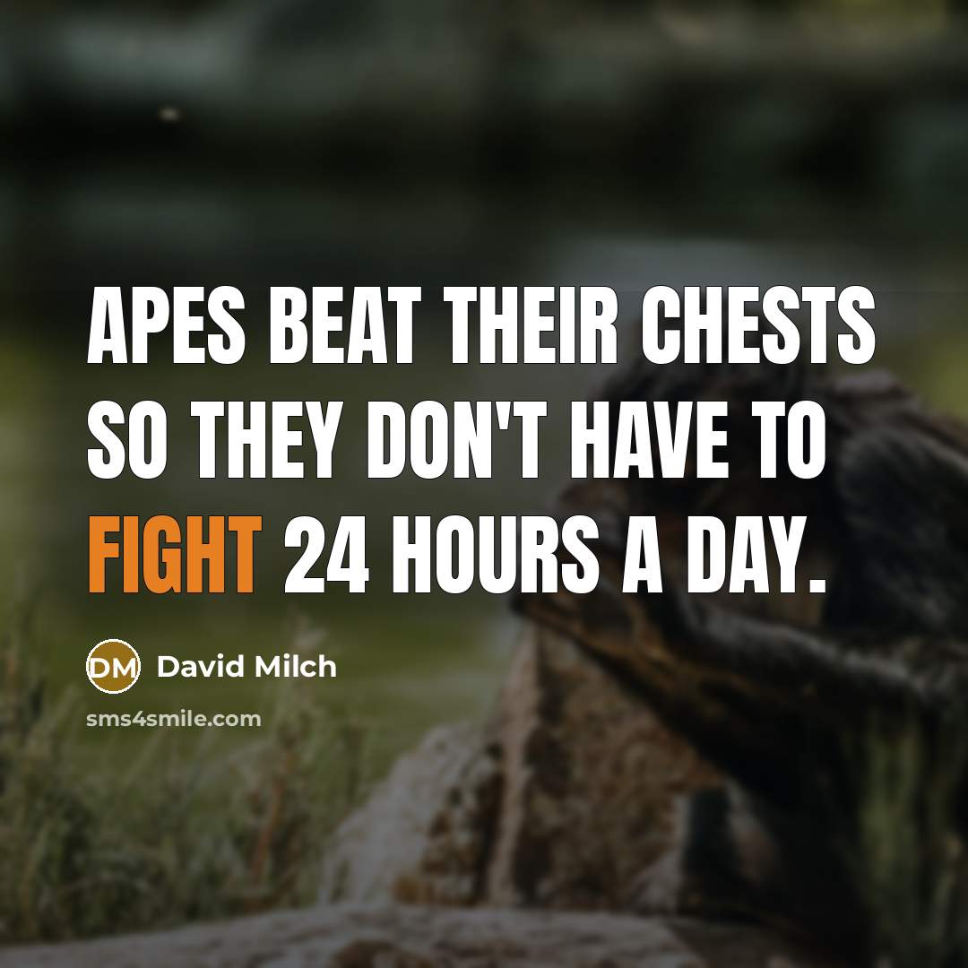 “Apes beat their chests so they don't have to fight…” quote by David Milch