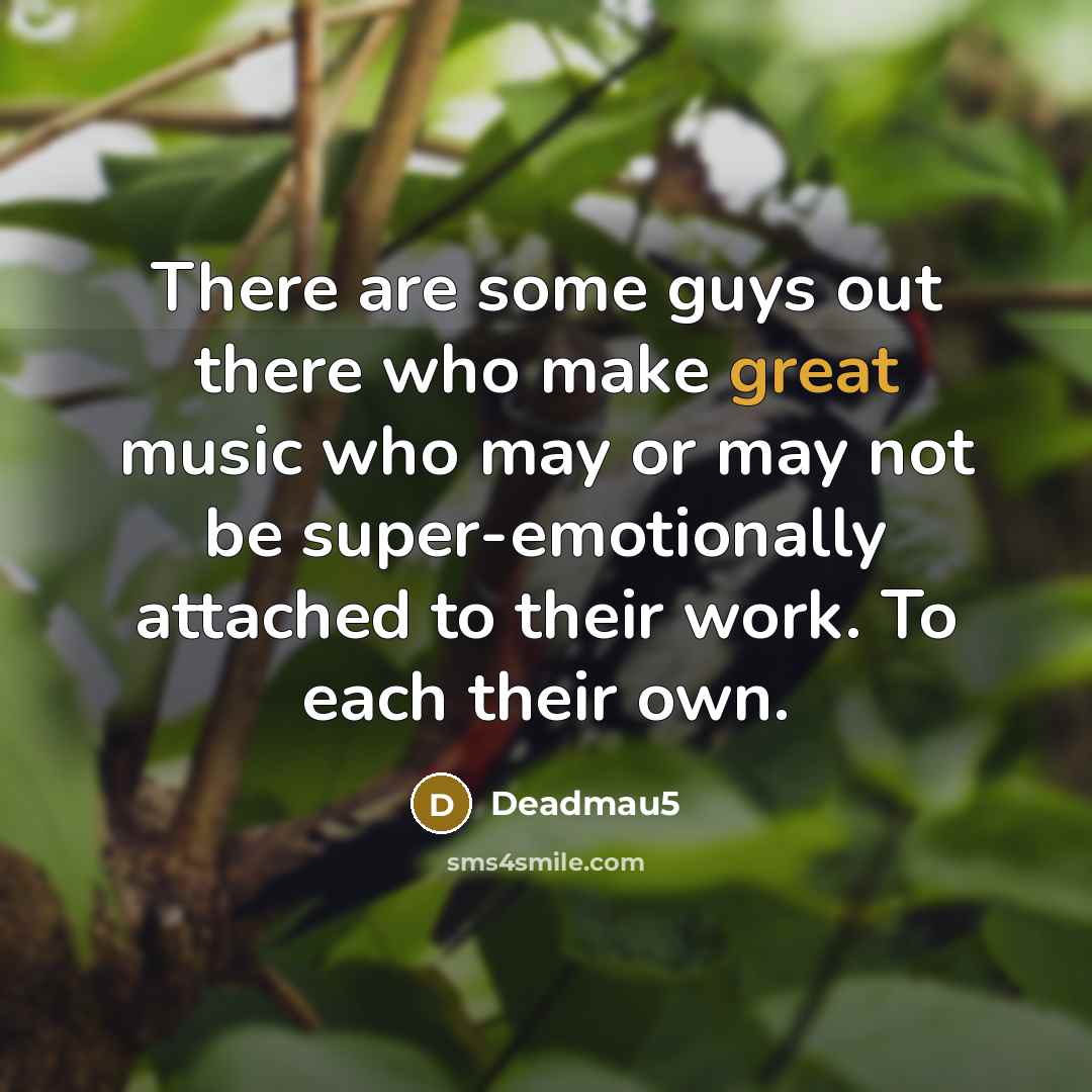 “There are some guys out there who make great music…” quote by Deadmau5