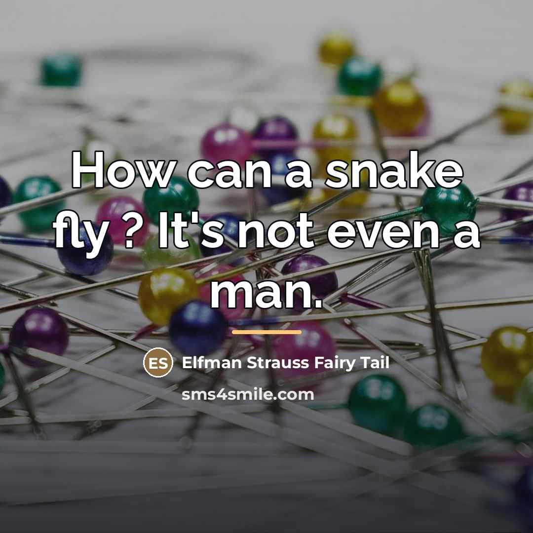 “How can a snake fly ? It's not even a…” quote by Elfman Strauss Fairy Tail