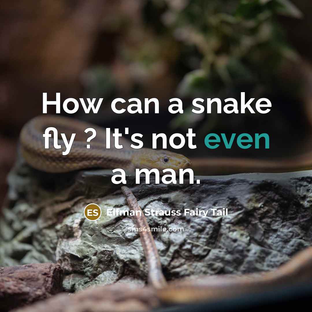 “How can a snake fly ? It's not even a man.” quote by Elfman Strauss Fairy Tail