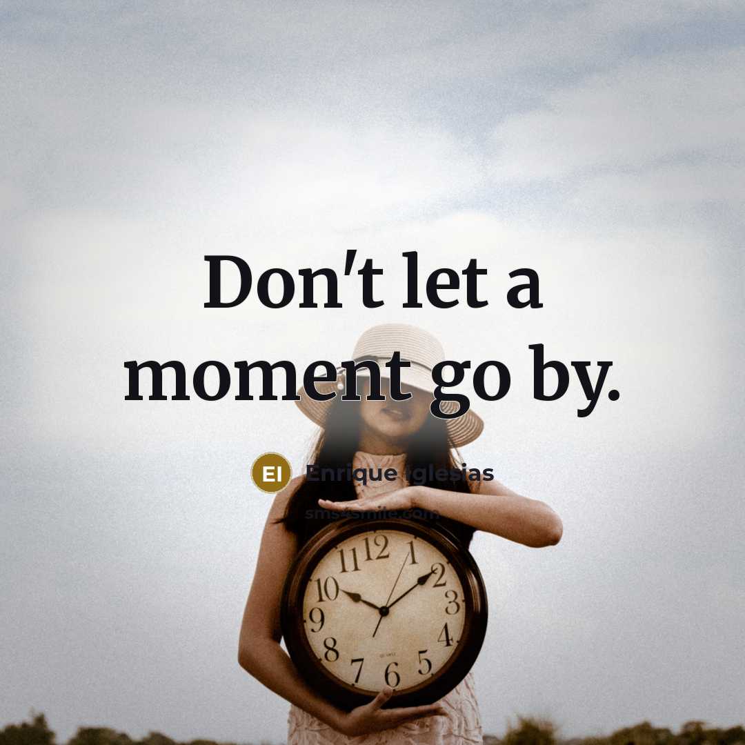 “Don't let a moment go by.” quote by Enrique Iglesias