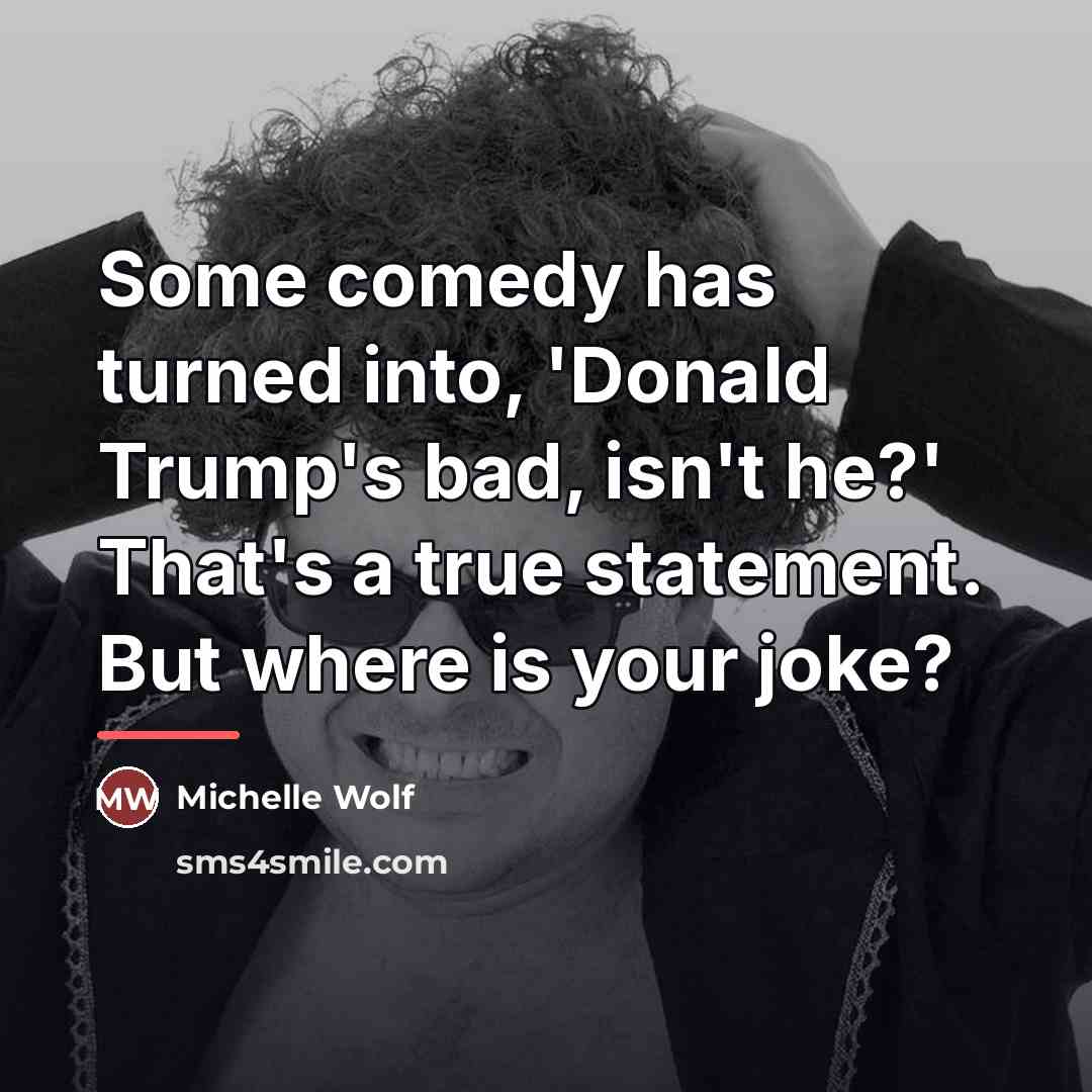 “Some comedy has turned into, 'Donald Trump's bad, isn't he?'…” quote by Michelle Wolf