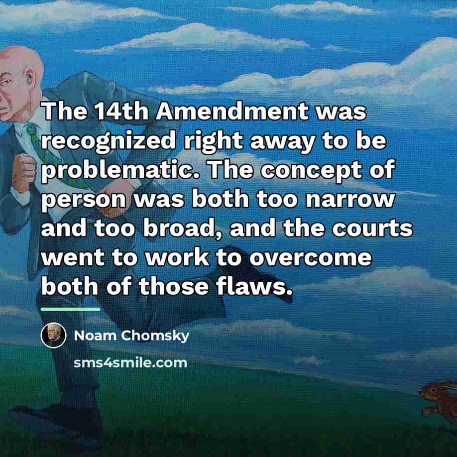 “The 14th Amendment was recognized right away to be problematic.…” quote by Noam Chomsky