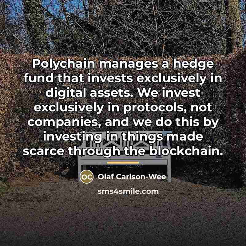 “Polychain manages a hedge fund that invests exclusively in digital…” quote by Olaf Carlson-Wee