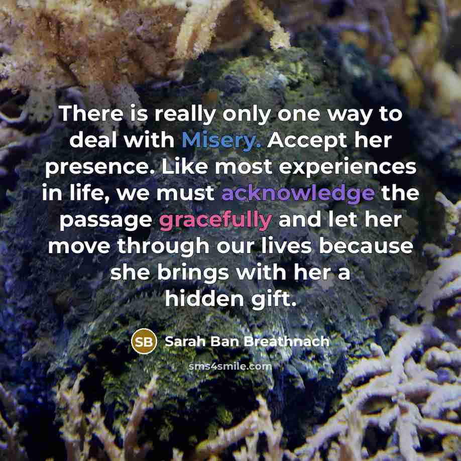 “There is really only one way to deal with Misery.…” quote by Sarah Ban Breathnach