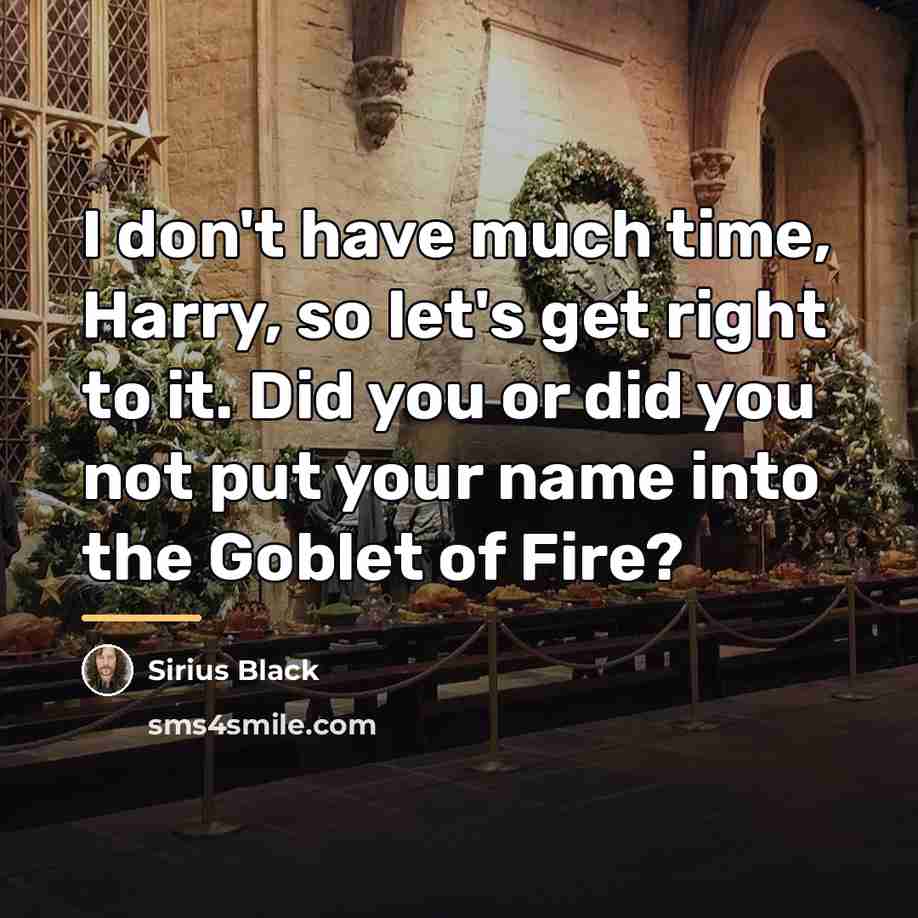 “I don't have much time, Harry, so let's get right…” quote by Sirius Black
