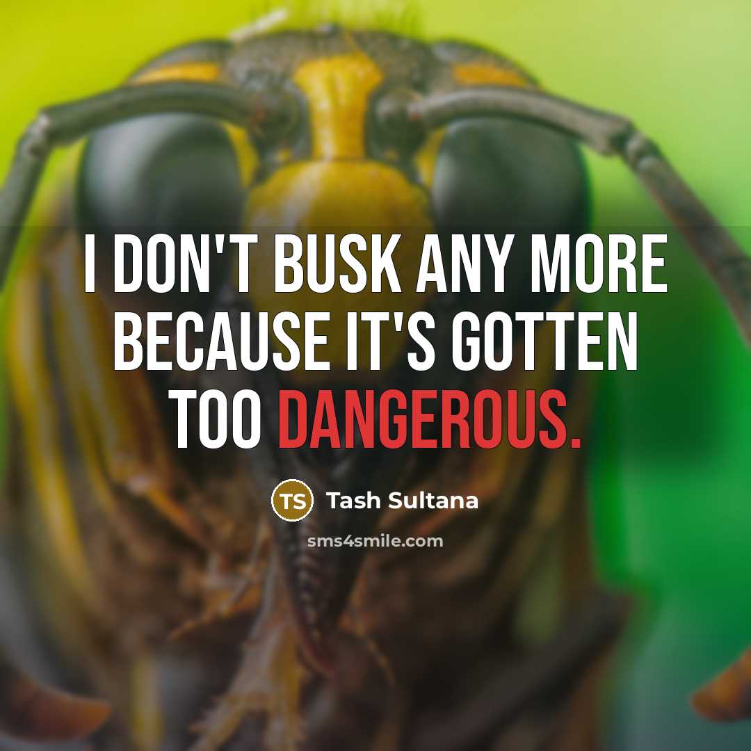 “I don't busk any more because it's gotten too dangerous.…” quote by Tash Sultana