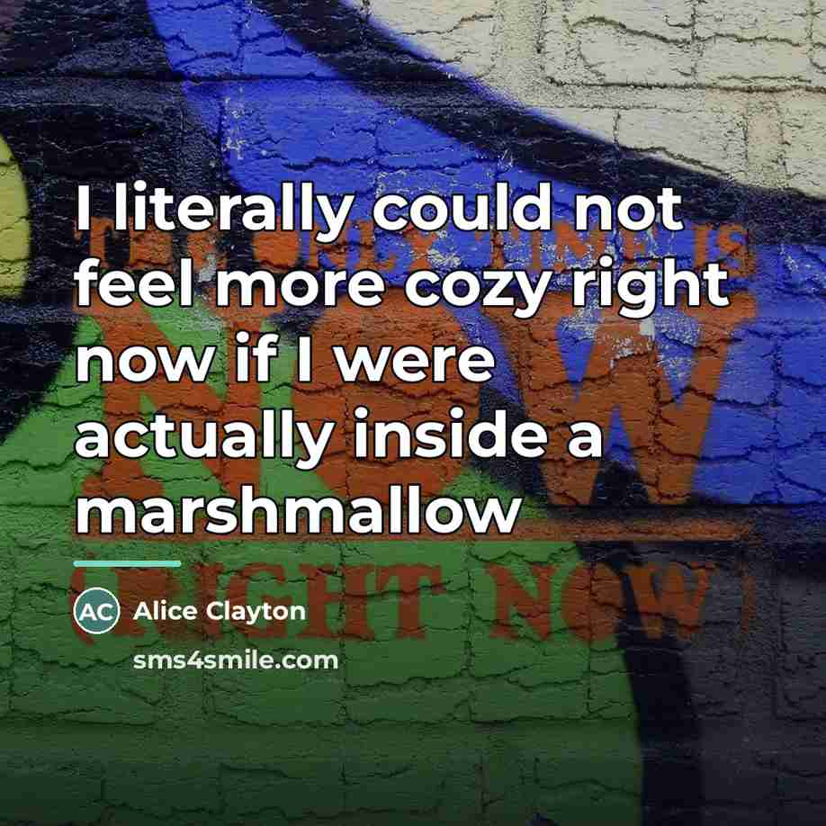 “I literally could not feel more cozy right now if…” quote by Alice Clayton