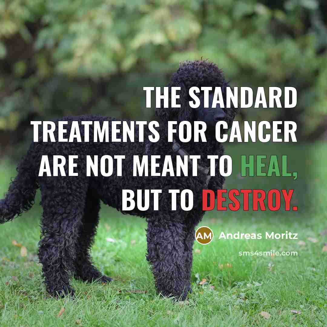 “The standard treatments for cancer are not meant to heal,…” quote by Andreas Moritz