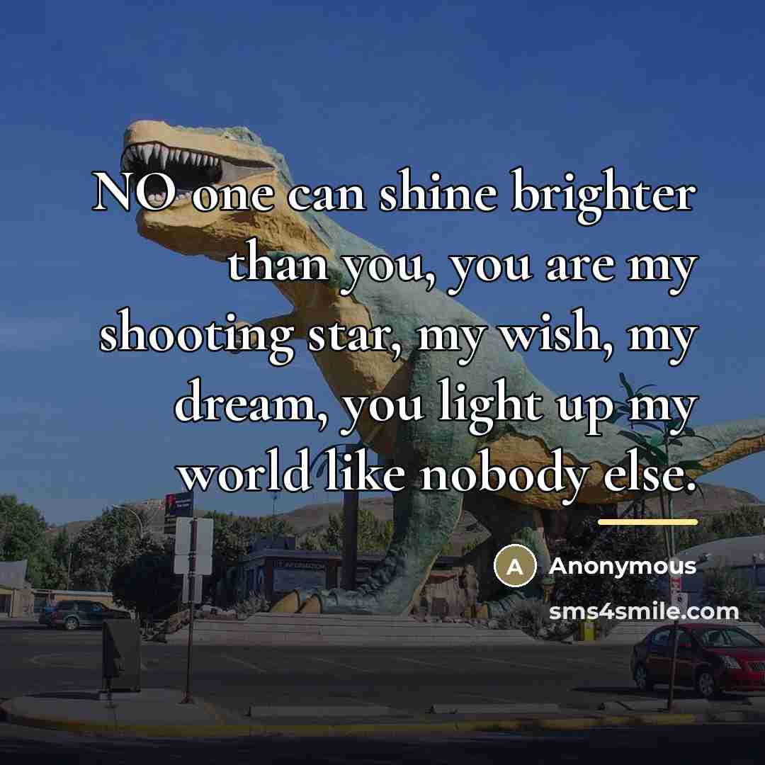 “NO one can shine brighter than you, you are my…” quote by Anonymous