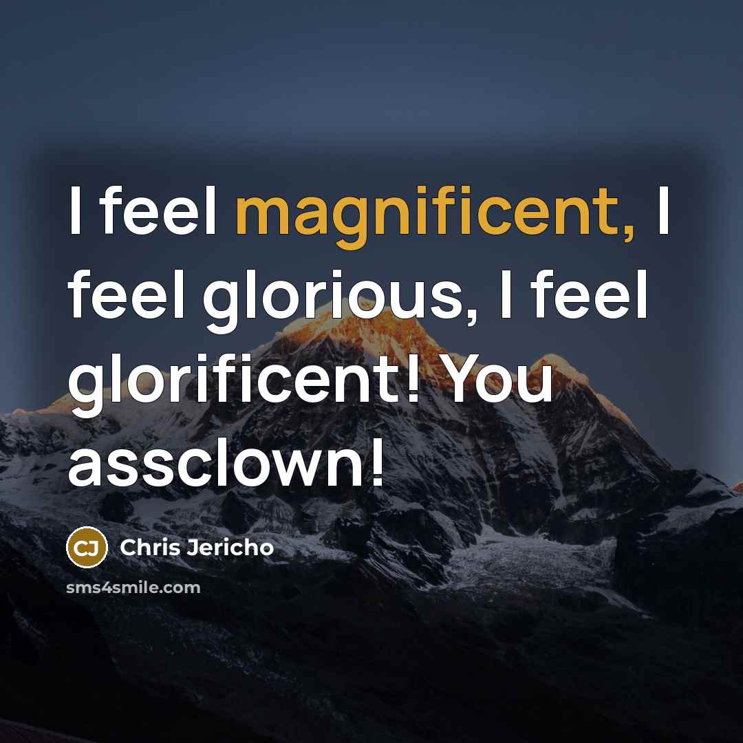 “I feel magnificent, I feel glorious, I feel glorificent! You…” quote by Chris Jericho