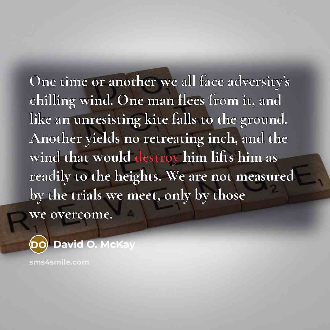 “One time or another we all face adversity's chilling wind.…” quote by David O. McKay
