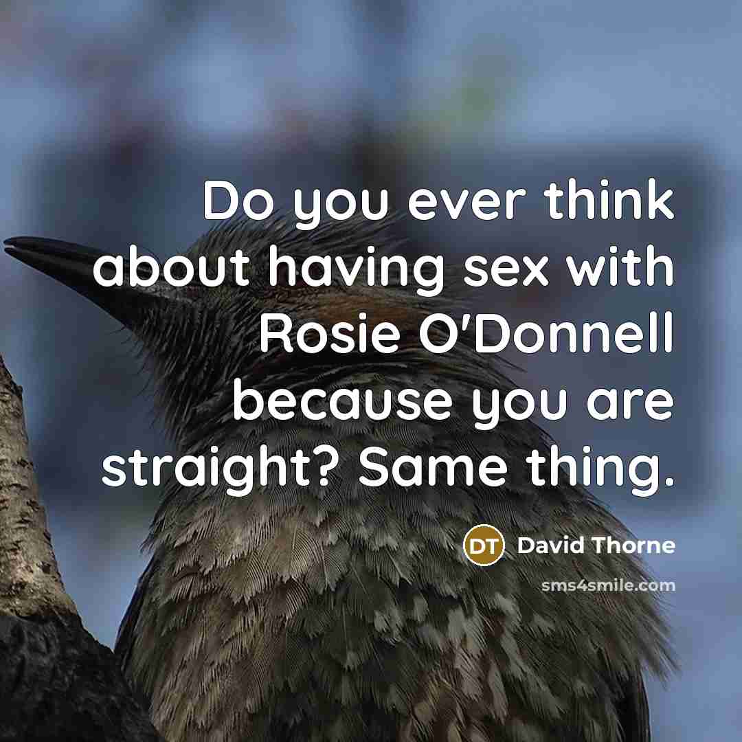“Do you ever think about having sex with Rosie O'Donnell…” quote by David Thorne