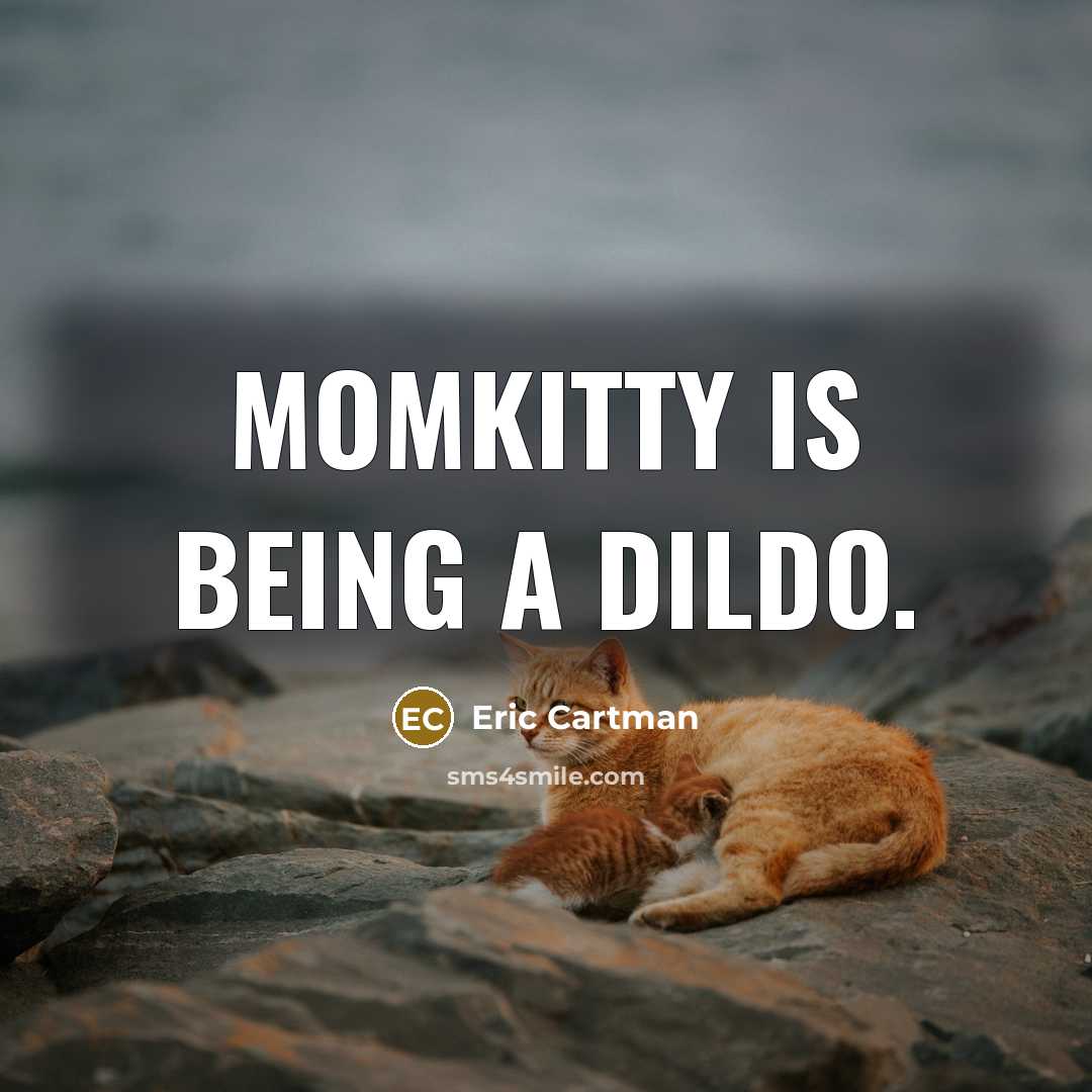“MomKitty is being a dildo.” quote by Eric Cartman