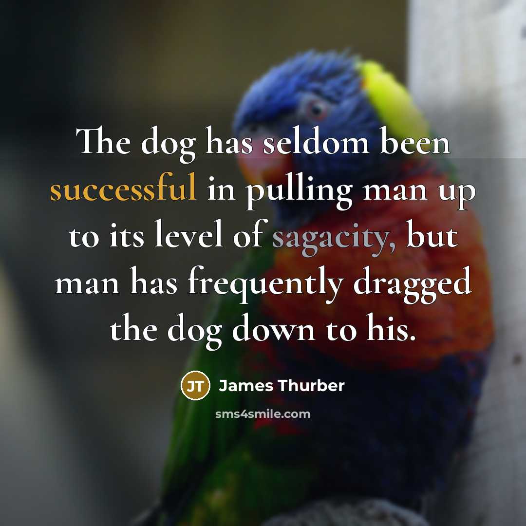 “The dog has seldom been successful in pulling man up to its level of sagacity, but man has frequently dragged the dog down to his.” quote by James Thurber