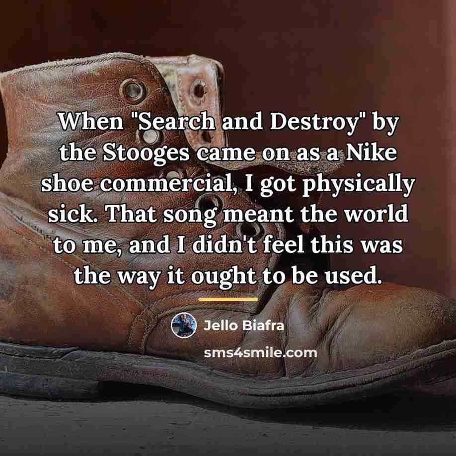 “When "Search and Destroy" by the Stooges came on as…” quote by Jello Biafra