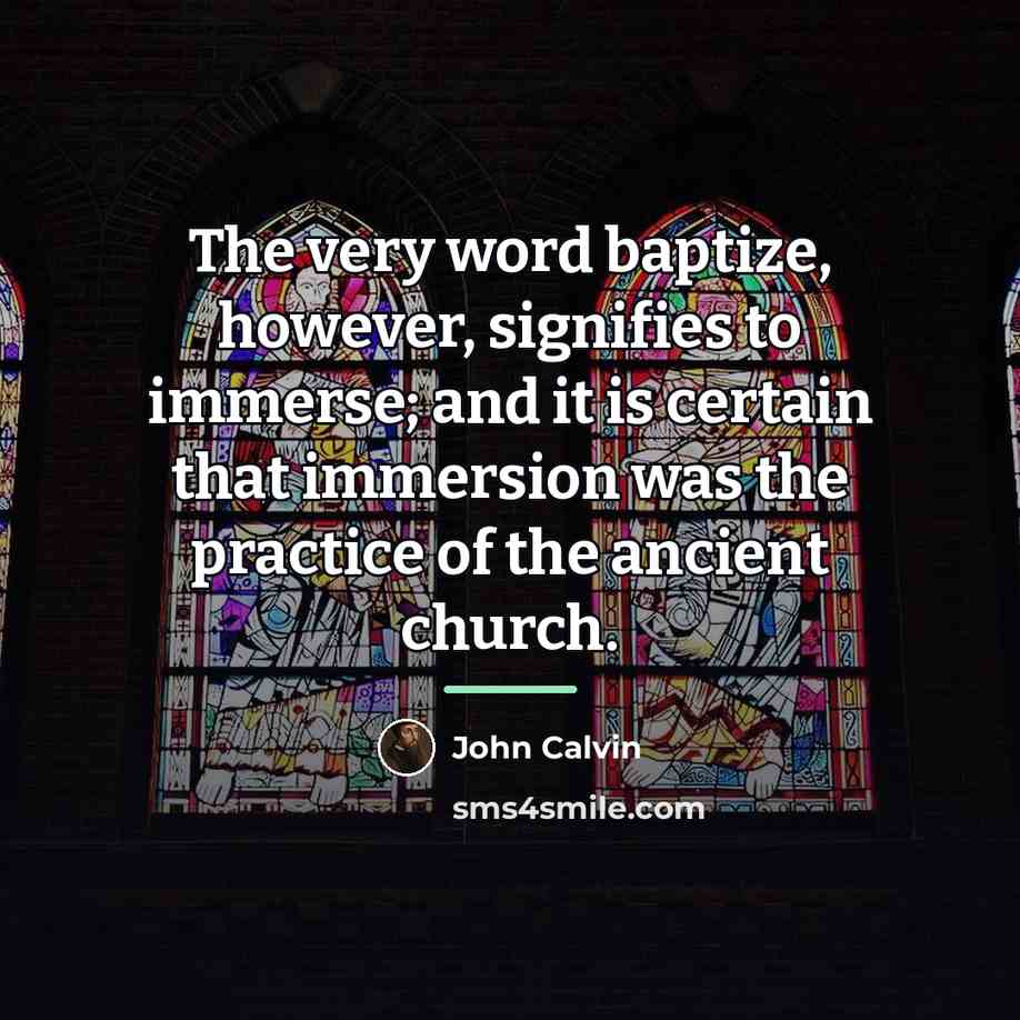 “The very word baptize, however, signifies to immerse; and it…” quote by John Calvin
