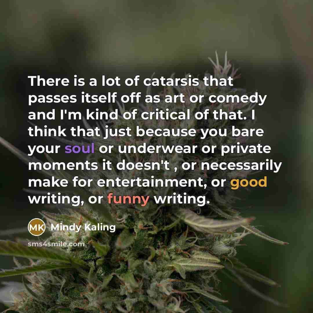 “There is a lot of catarsis that passes itself off…” quote by Mindy Kaling