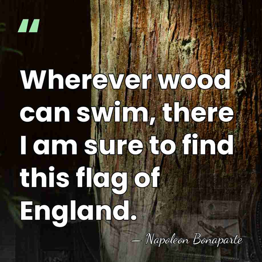 Wherever wood can swim, there I am sure to find this flag&hellip; - Napoleon Bonaparte