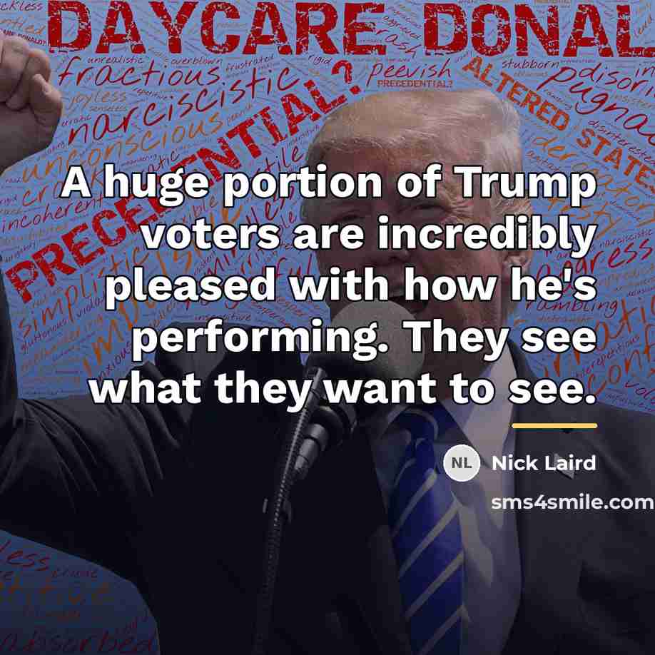“A huge portion of Trump voters are incredibly pleased with…” quote by Nick Laird