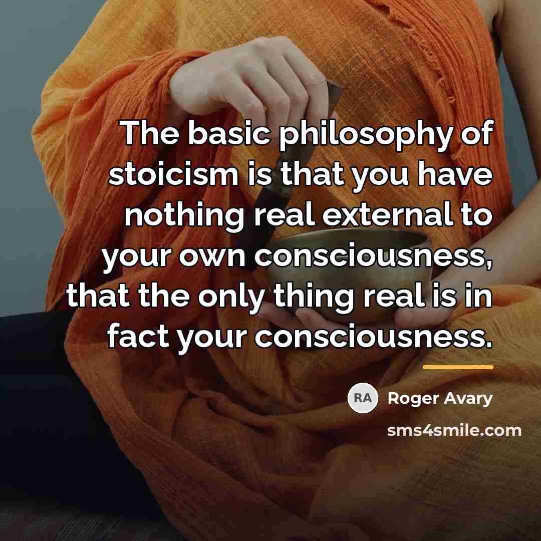 “The basic philosophy of stoicism is that you have nothing…” quote by Roger Avary