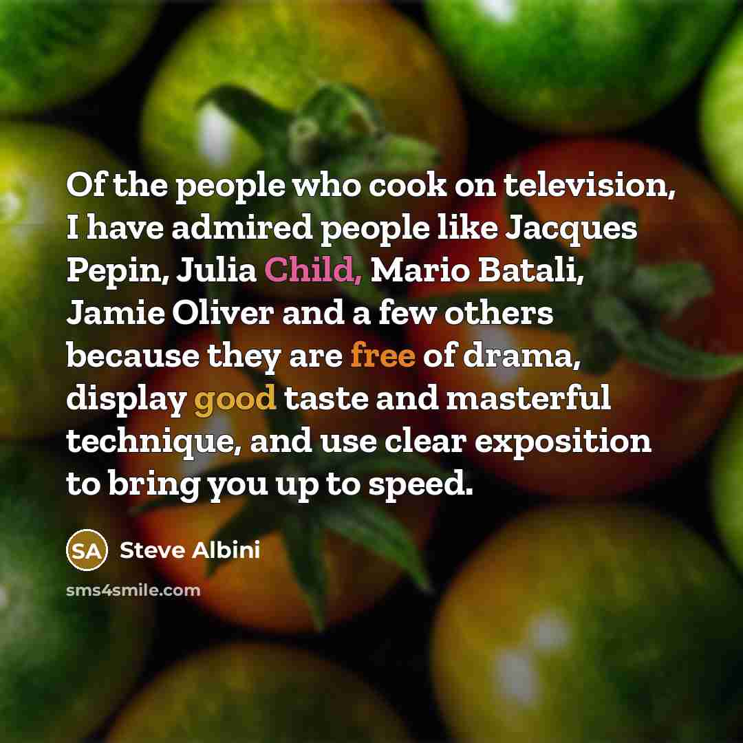 “Of the people who cook on television, I have admired…” quote by Steve Albini
