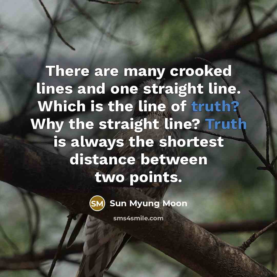 “There are many crooked lines and one straight line. Which…” quote by Sun Myung Moon