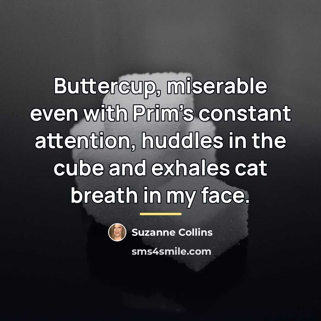 “Buttercup, miserable even with Prim’s constant attention, huddles in the…” quote by Suzanne Collins