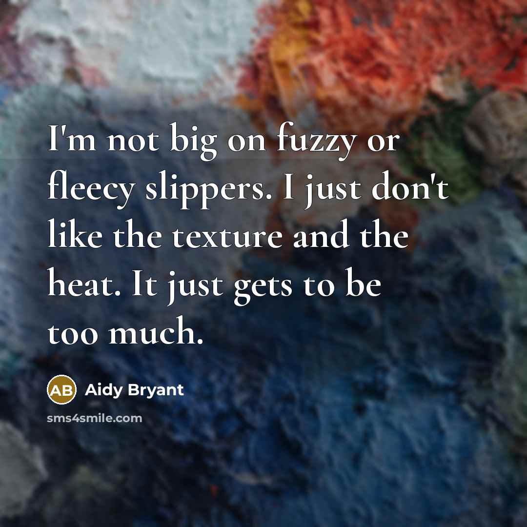 “I'm not big on fuzzy or fleecy slippers. I just…” quote by Aidy Bryant