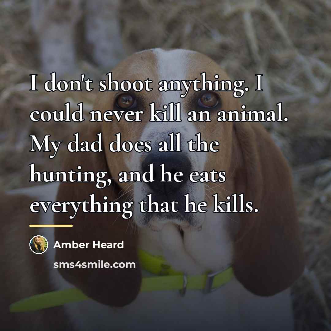 “I don't shoot anything. I could never kill an animal.…” quote by Amber Heard