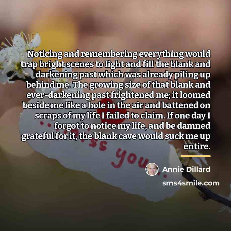 “Noticing and remembering everything would trap bright scenes to light…” quote by Annie Dillard