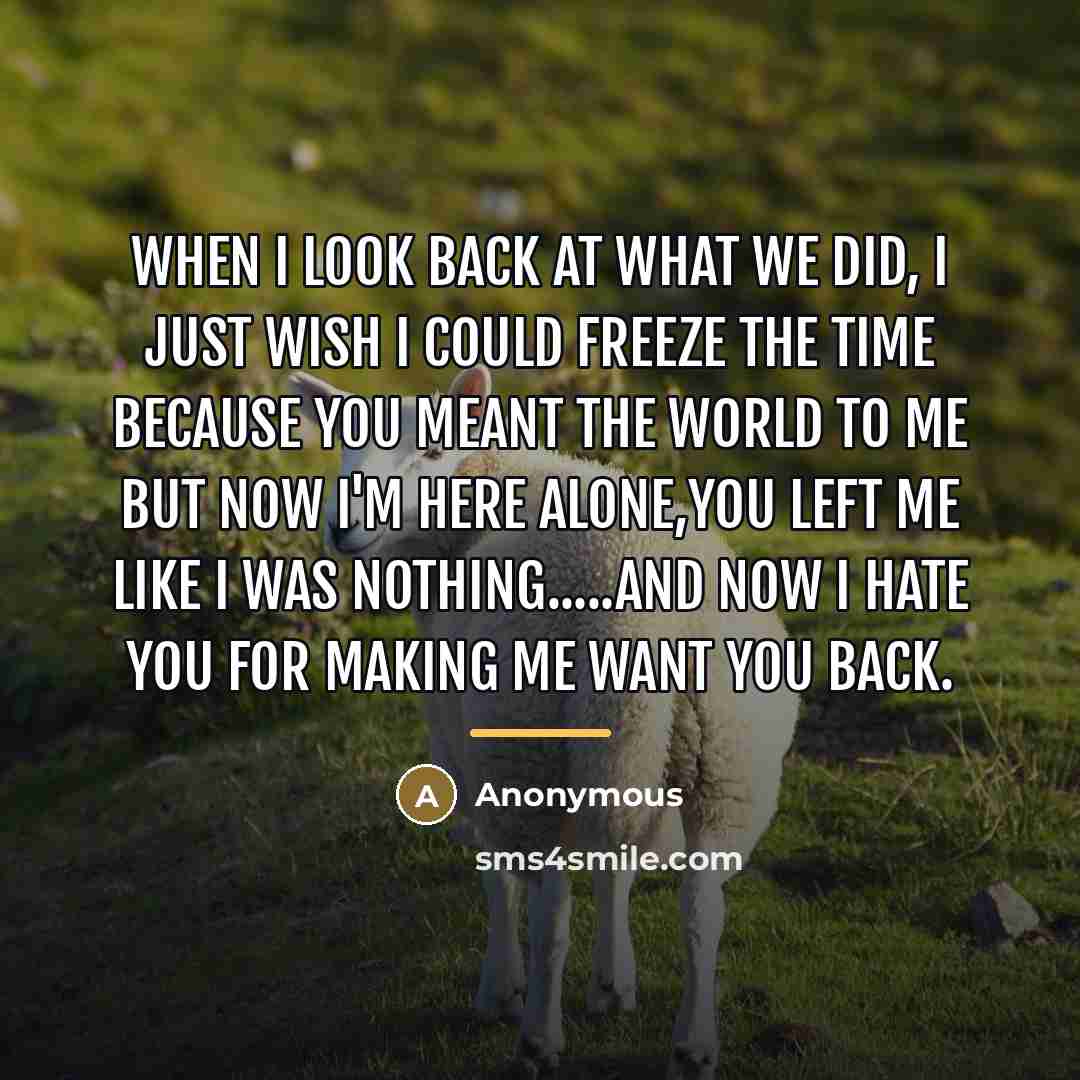 “When I look back at what we did, I just…” quote by Anonymous