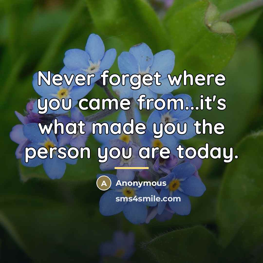 “Never forget where you came from...it's what made you the…” quote by Anonymous