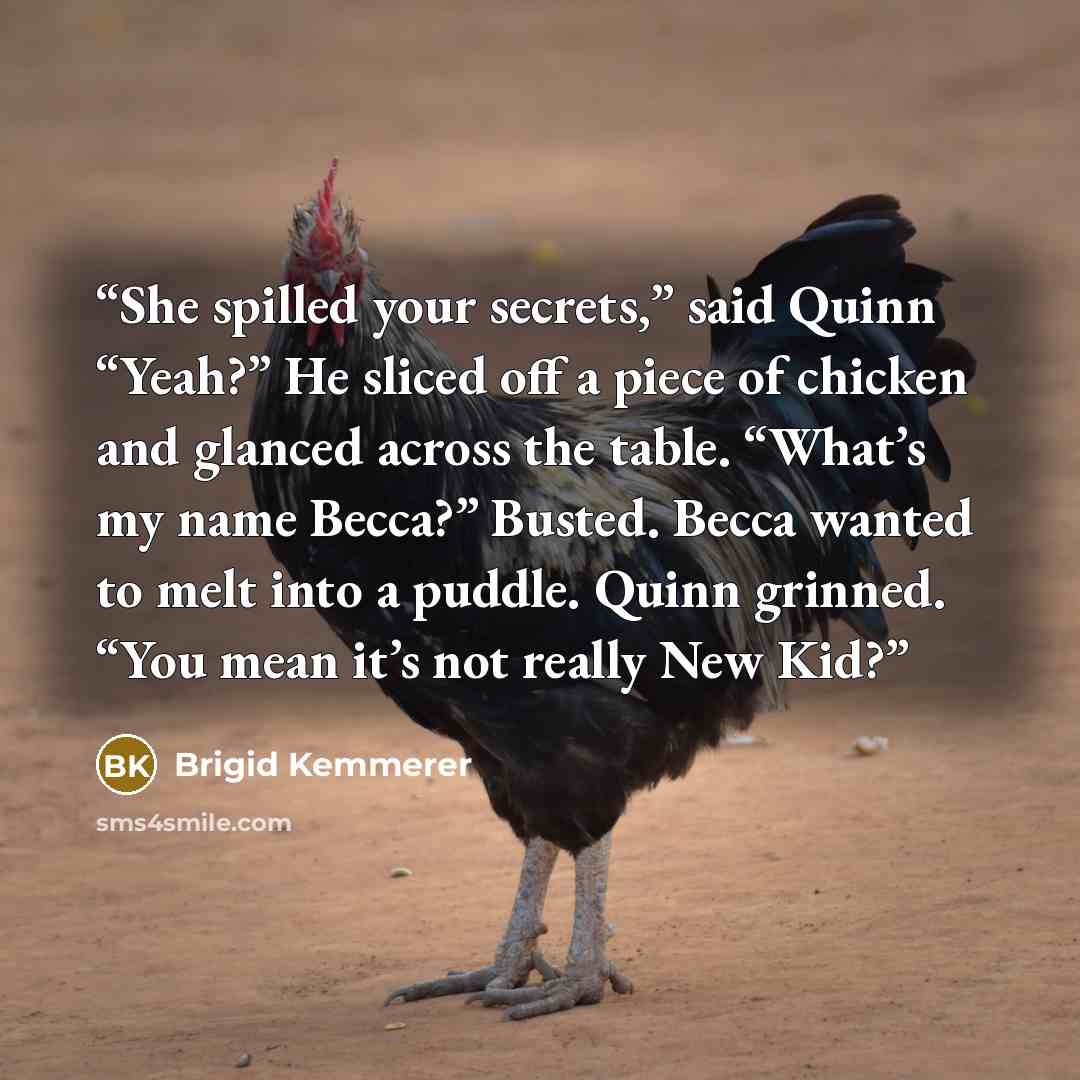 “She spilled your secrets,” said Quinn “Yeah?” He sliced off a piece of chicken and glanced across the table. “What’s my name Becca?” Busted. Becca wanted to melt into a puddle. Quinn grinned. “You mean it’s not really New Kid?” quote by Brigid Kemmerer
