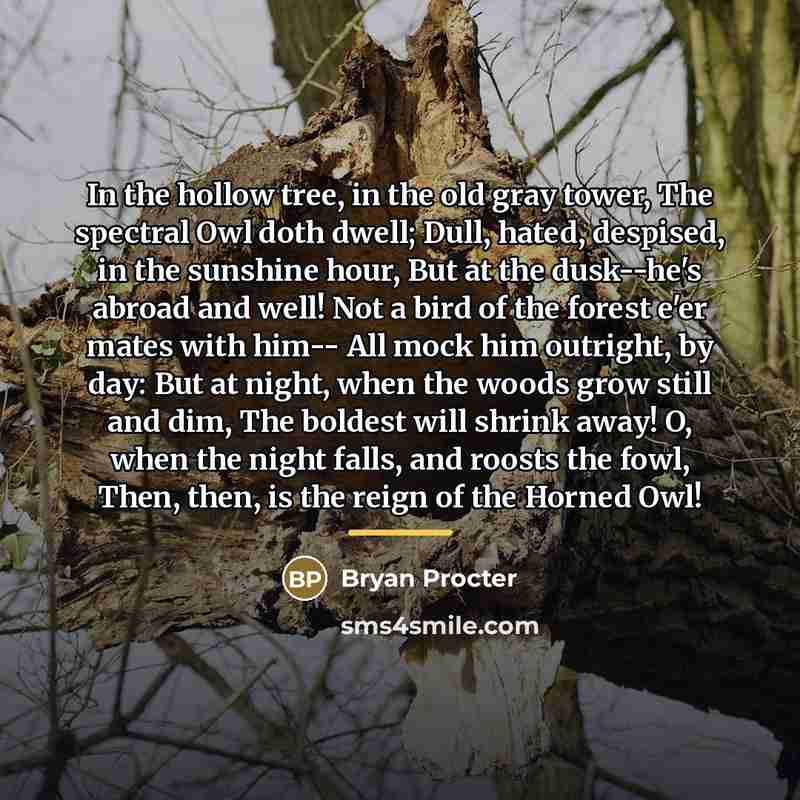 “In the hollow tree, in the old gray tower, The…” quote by Bryan Procter