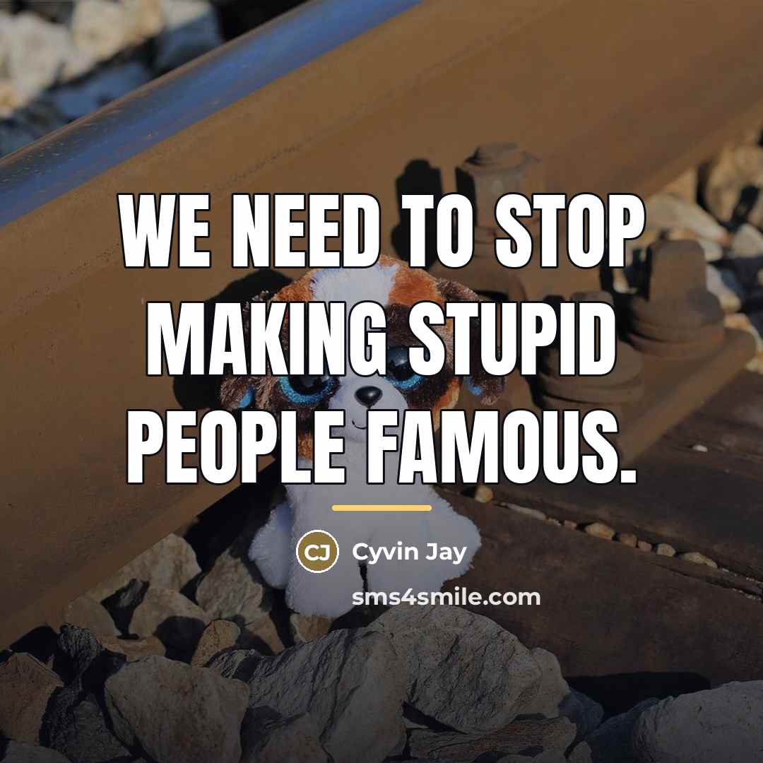 “We need to stop making stupid people famous.…” quote by Cyvin Jay