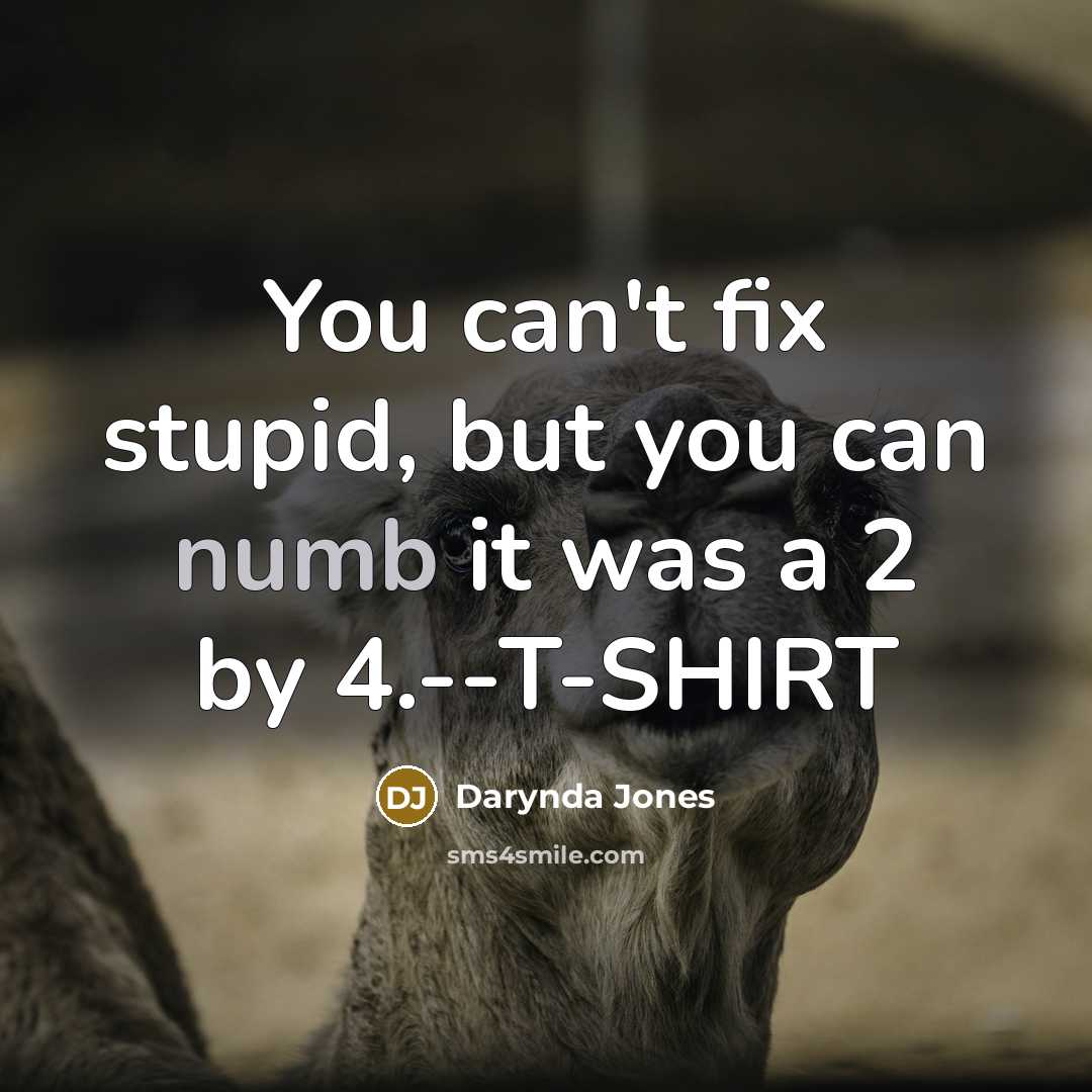 “You can't fix stupid, but you can numb it was…” quote by Darynda Jones