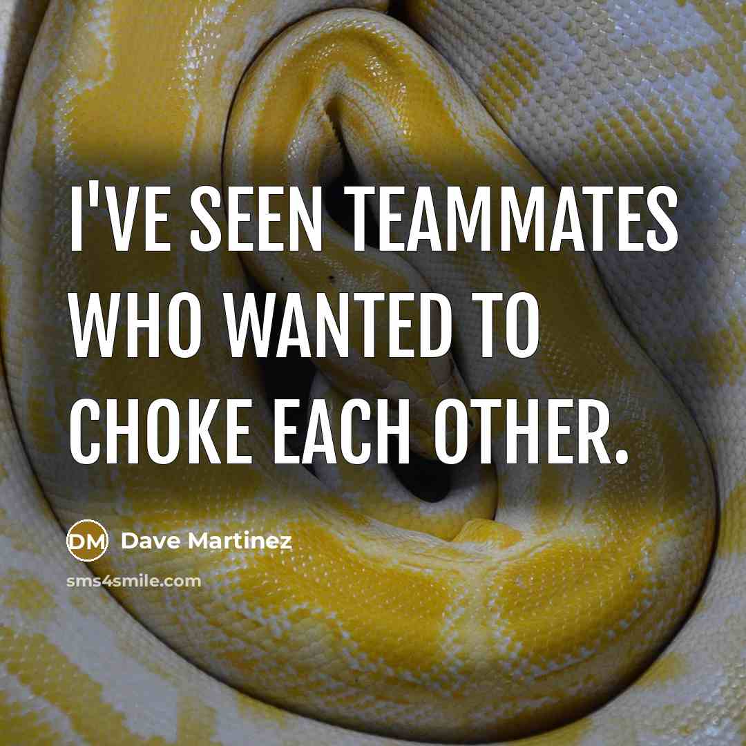 “I've seen teammates who wanted to choke each other.…” quote by Dave Martinez